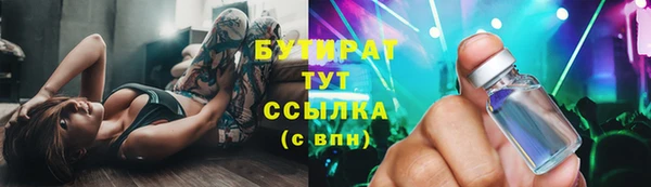 прущие грибы Каменка