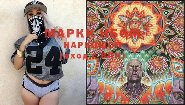 прущие грибы Каменка