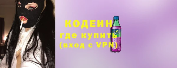 прущие грибы Каменка