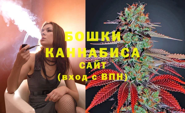 прущие грибы Каменка