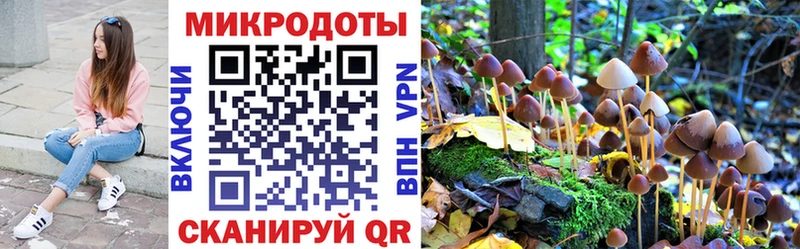 Купить закладки  Алейск  Псилоцибиновые грибы Magic Shrooms 